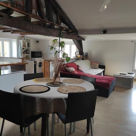 Appartement De Charme Coeur Historique Perigueux Luaran gambar